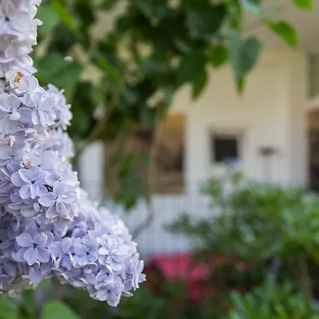 Corto Apartamento Kaštel Novi